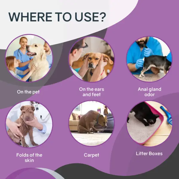 Animal Odor Eliminator