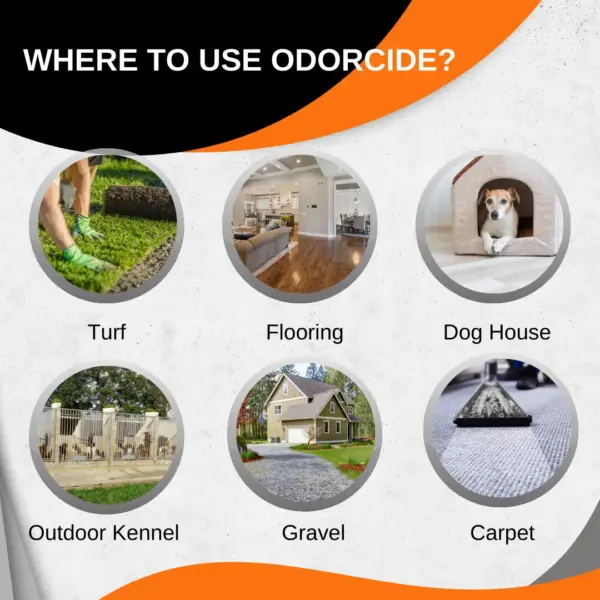 ODORMED Concentrate