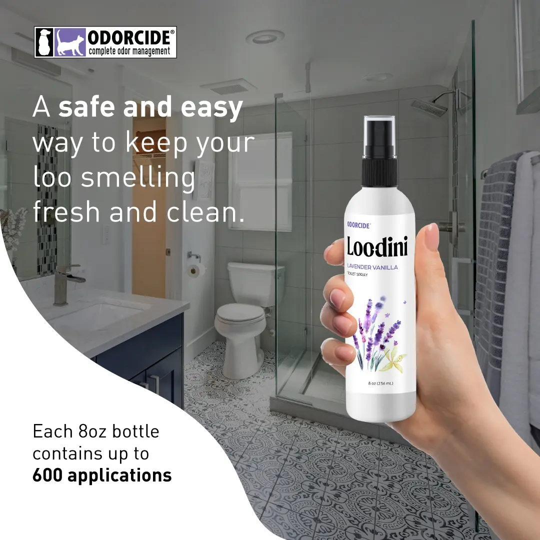 Loo-Dini - Image 4
