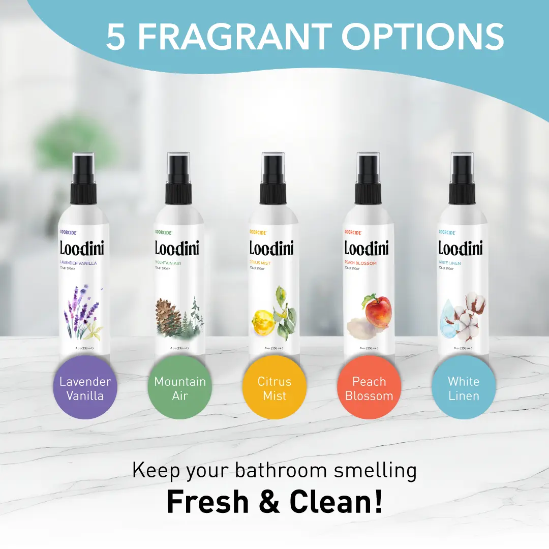 Loo-Dini - Image 6